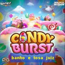 banho e tosa juiz de fora